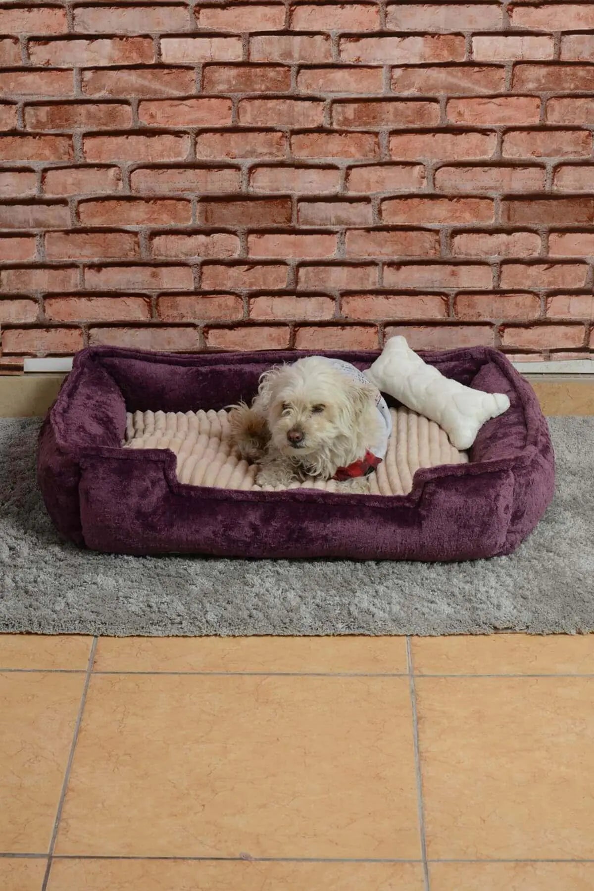 Cookie Pet Filled Cat Dog Nest, 70X50Cm, Plum Beige - Sno's Finds