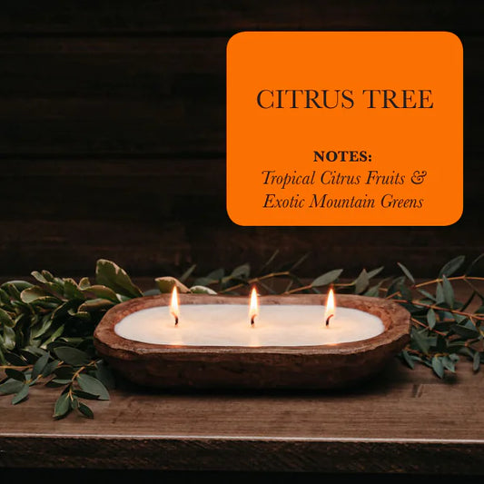 3-wick dough bowl soy candle with notes of tropical citrus fruits and exotic mountain greens.