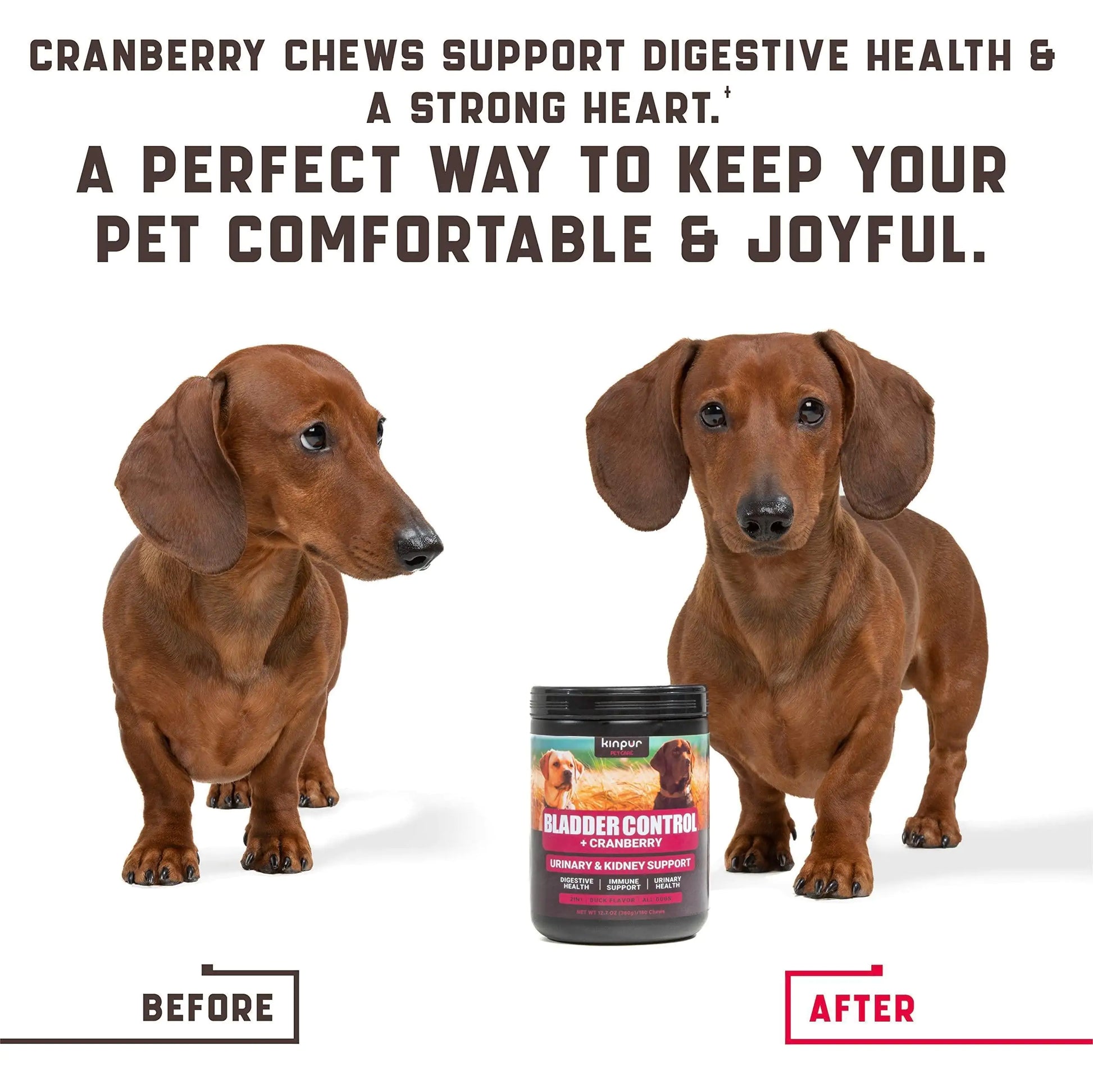 180 Pcs Cranberry Chews Dog Cranberry Supplement Natural Aid for Urinary Tract - Sno's Finds