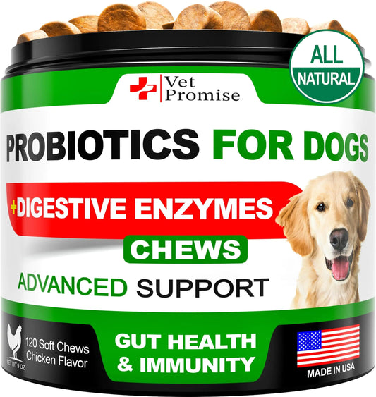 Probiotics for Dogs Digestive Enzymes for Good Health Itchy Skin 120 Chews - Sno's Finds