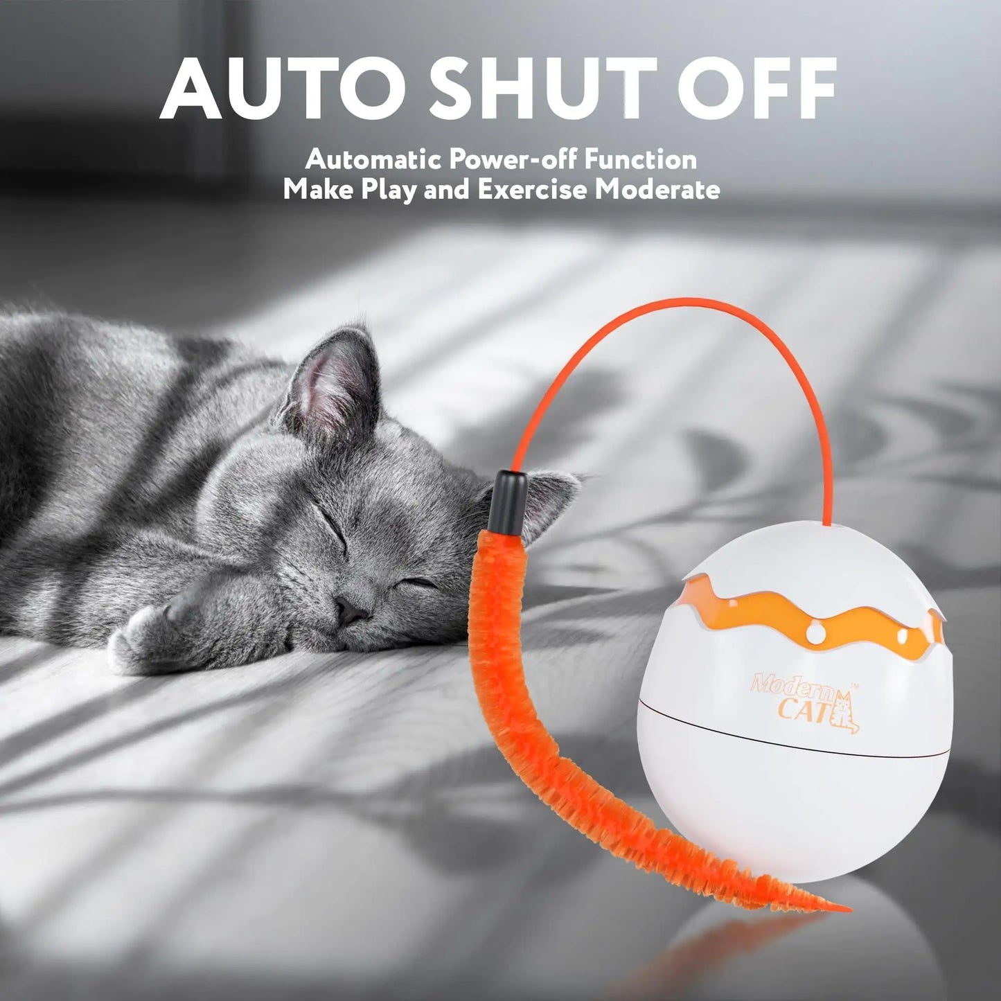 Interactive Cat Toy Dino Egg White Automatic Toy with 360 Degree Rotation Auto - Sno's Finds