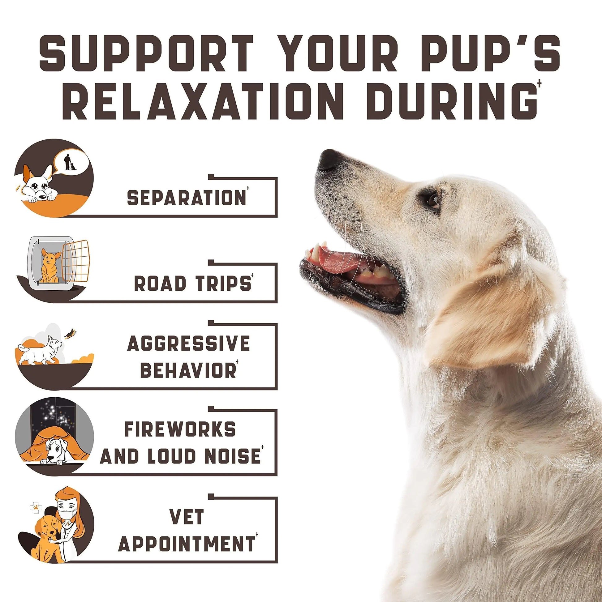 Calming Chews for Labrador Dogs with Valerian Root and Hemp Oil   Aid during Car - Sno's Finds