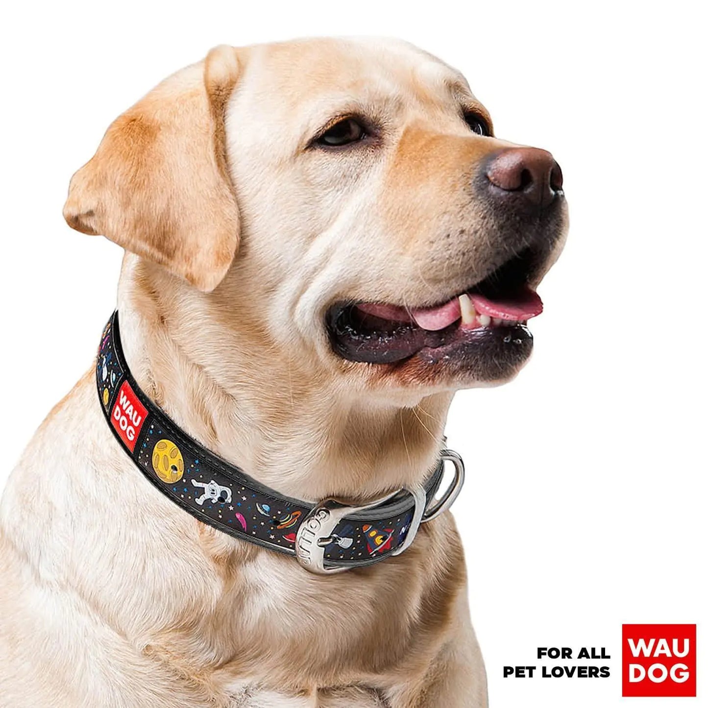 Leather Dog Collar with NASA Design for XSmall Dogs 811 in Neck x 0.5 in Wide - Sno's Finds