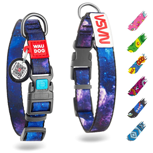 Nylon Dog Collar Adjustable for Small Medium Dogs 916 in Neck x 4/5 in NASA - Sno's Finds