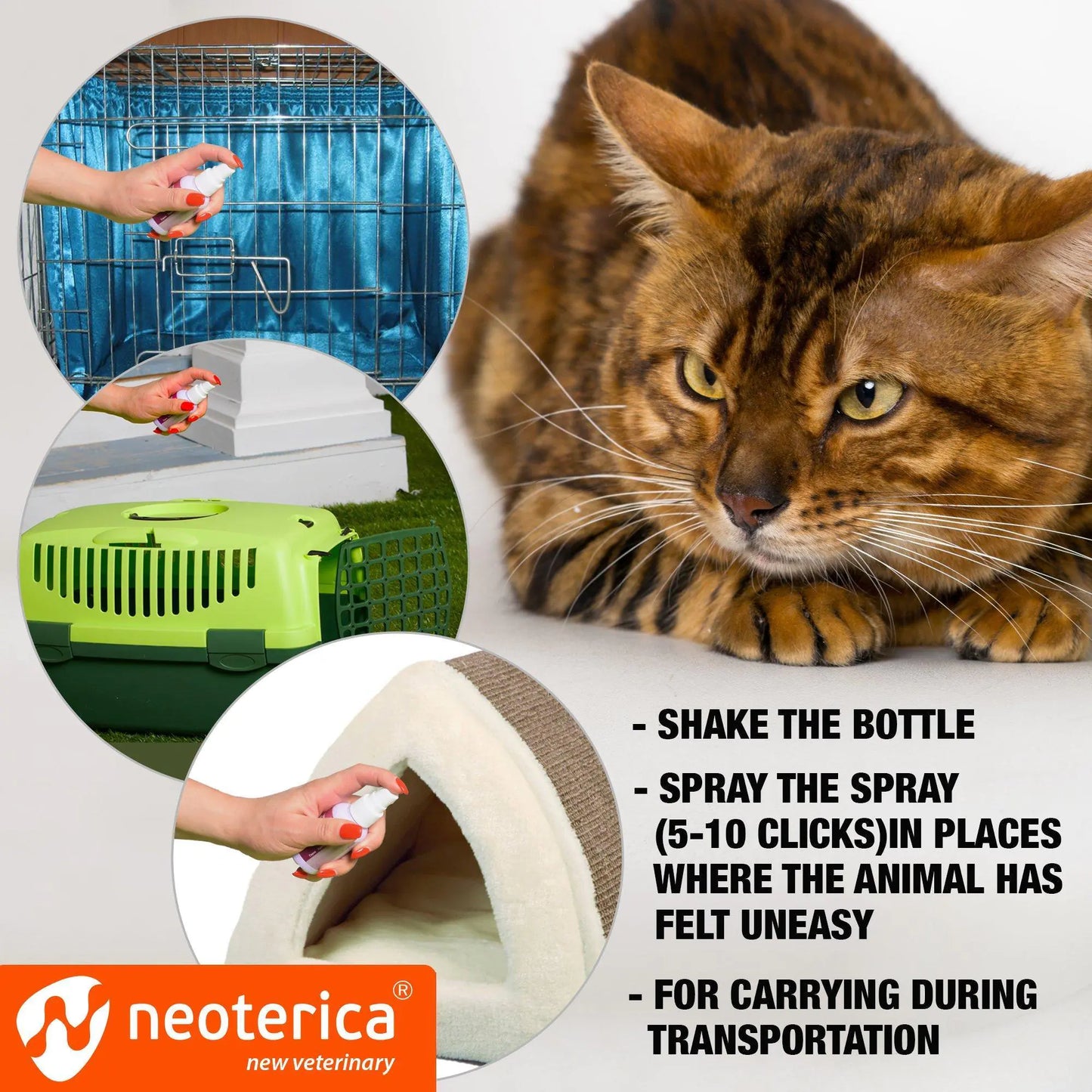 Calming Pheromone Spray Scratch Repellent for Cats Reduce Stress During Travel - Sno's Finds