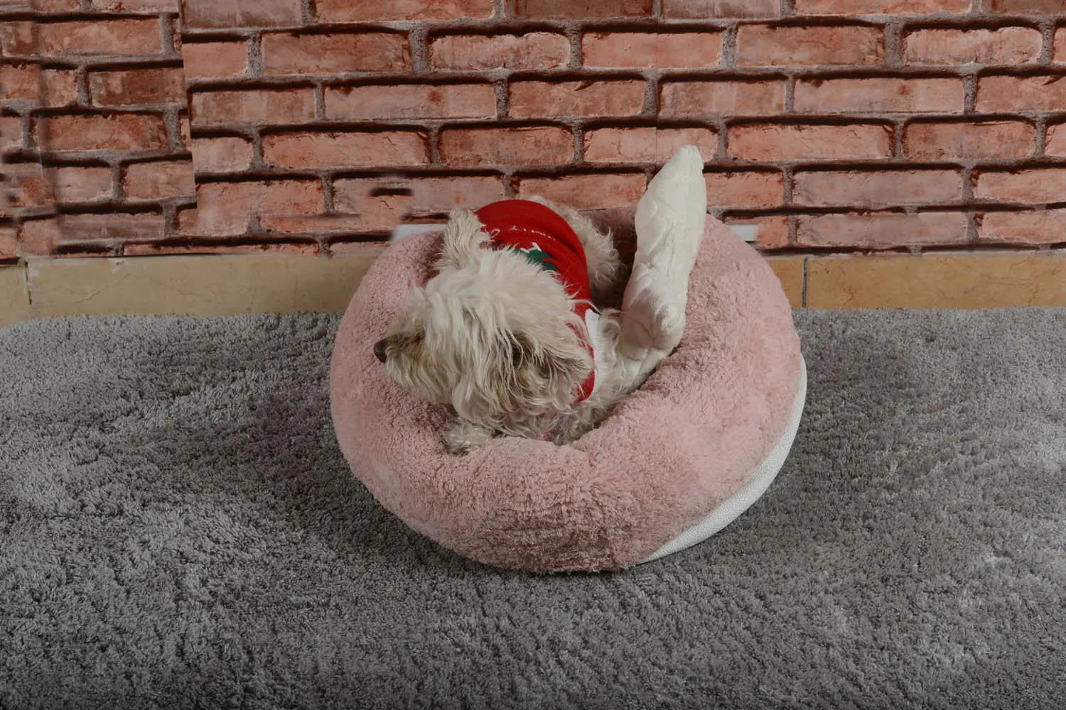 Cookie Pet Sherpa Fleece Washable Round Dog Cat Bed, 60 Cm, Light Powder - Sno's Finds