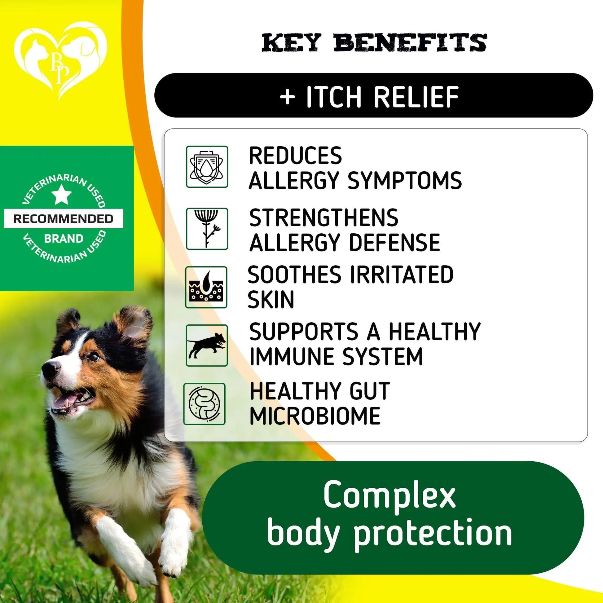 Dog Anti Itch Allergy Relief Chews Dry Itchy Skin Hot Spot Treatment with Omega3 - Sno's Finds