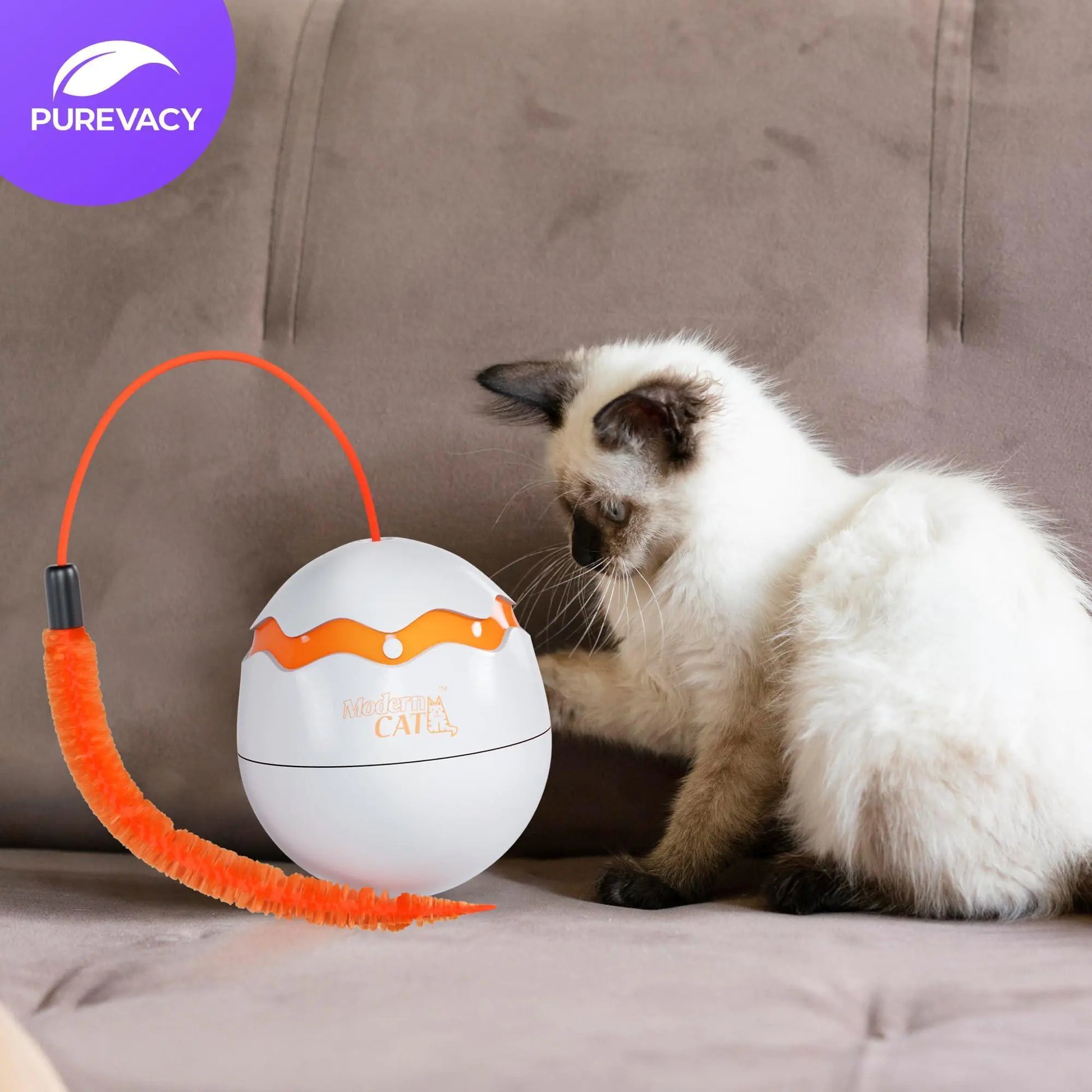 Interactive Cat Toy Dino Egg White Automatic Toy with 360 Degree Rotation Auto - Sno's Finds