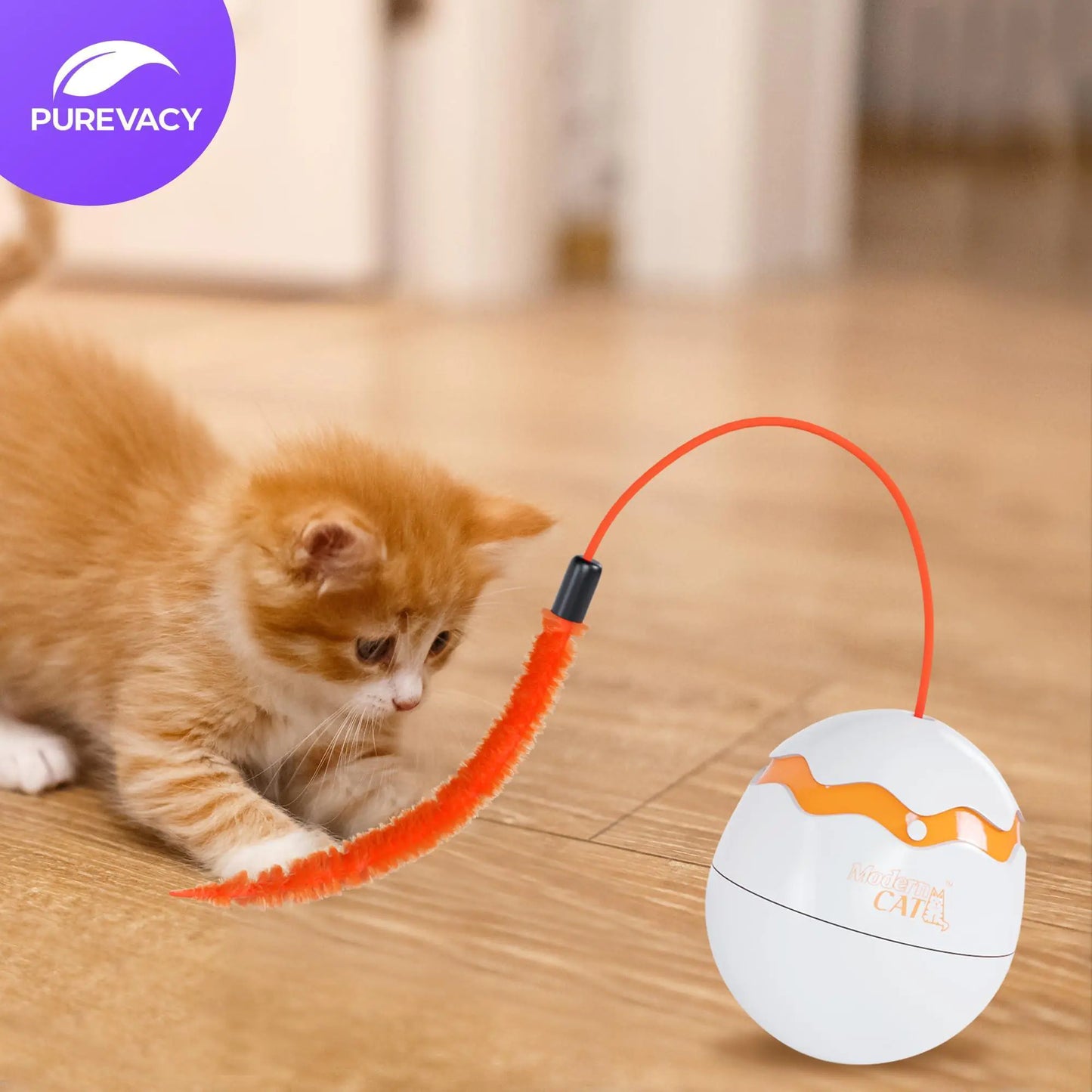 Interactive Cat Toy Dino Egg White Automatic Toy with 360 Degree Rotation Auto - Sno's Finds