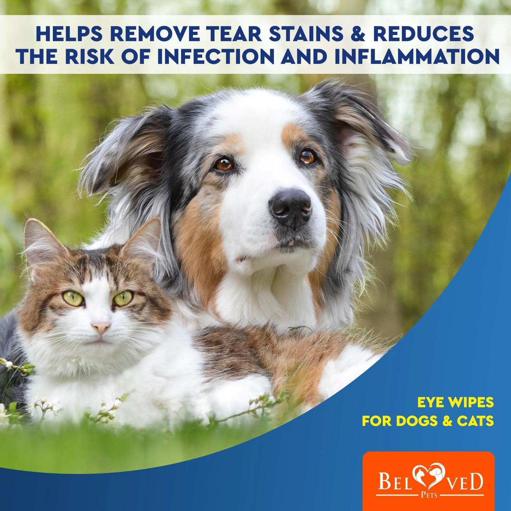 Cat Dog Eye Wash Wipes Tear Stain Remover Cleaner Eye Infection Treatment 120Pad - Sno's Finds