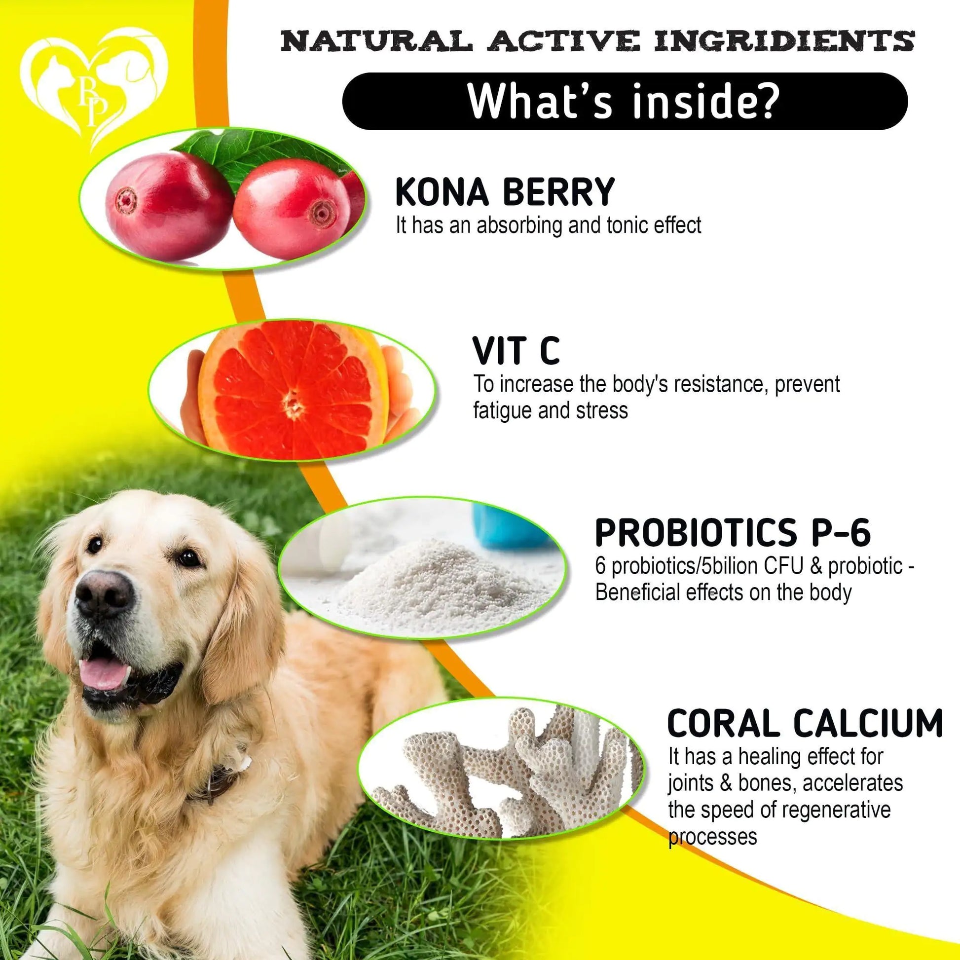 Dog Anti Itch Allergy Relief Chews Dry Itchy Skin Hot Spot Treatment with Omega3 - Sno's Finds