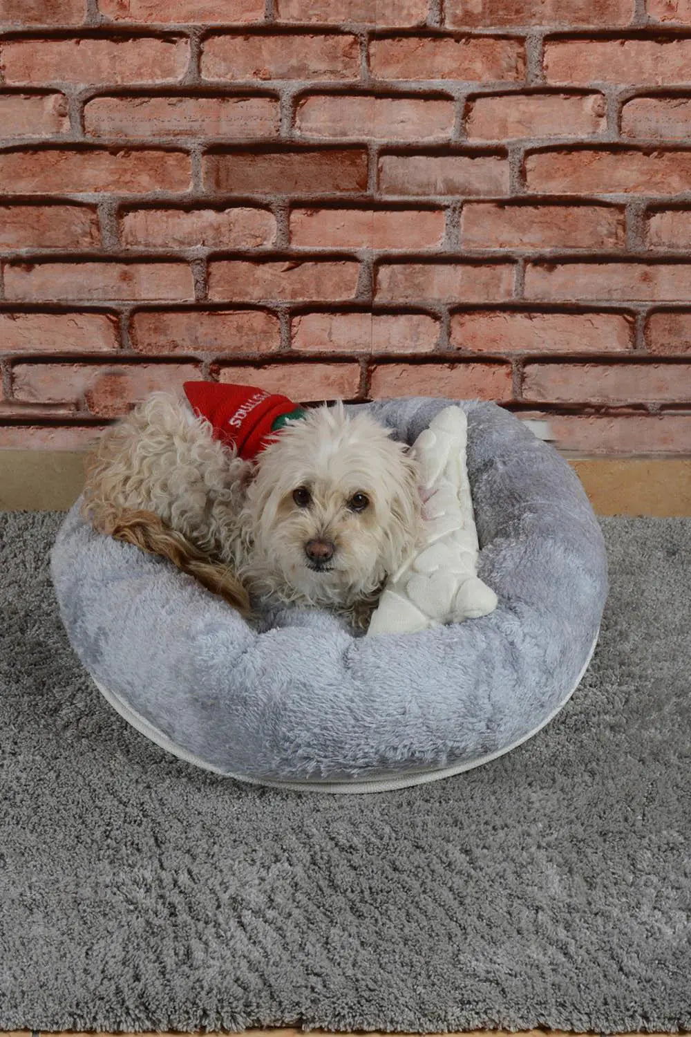 Cookie Pet Sherpa Polar Washable Round Dog Cat Bed, 60 Cm, Gray - Sno's Finds