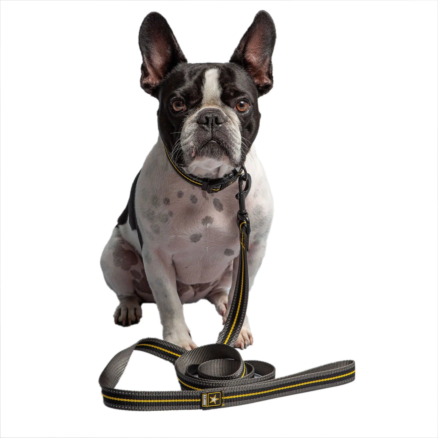 Dark Camo Dog Leash - Sno's Finds