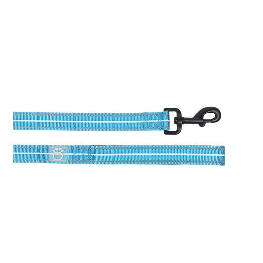 Reflective Leash - Neon Blue - Sno's Finds